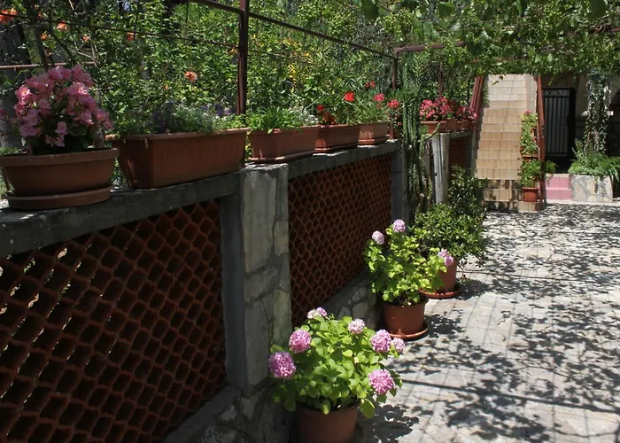 Apartament 6585b *