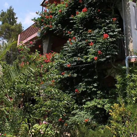 6585b * Starigrad Paklenica