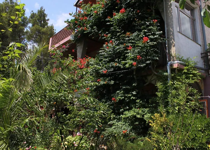 6585b * Starigrad Paklenica